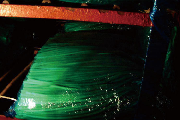 蒜苔保(bao)鮮(xian)袋